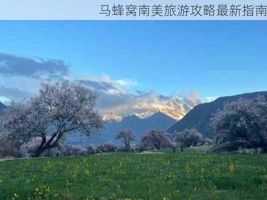 马蜂窝南美旅游攻略最新指南