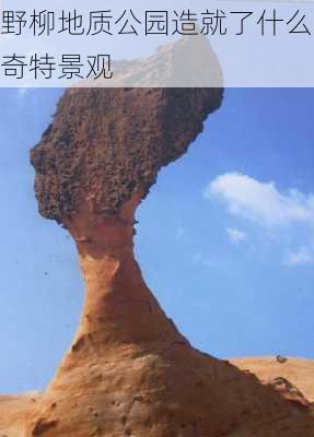 野柳地质公园造就了什么奇特景观