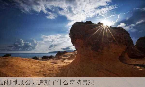 野柳地质公园造就了什么奇特景观